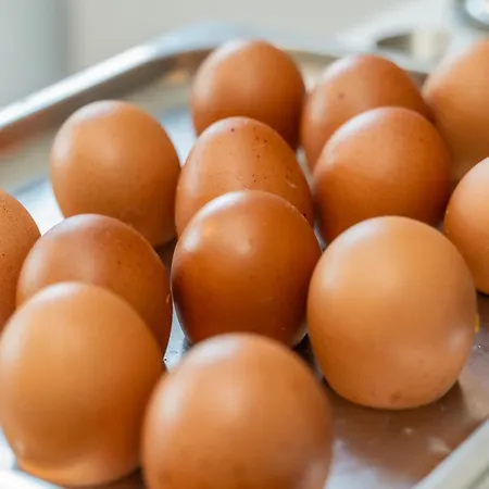 Hotel Don Ferrante 3*